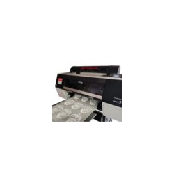 Kit Stampante DTF Epson SC-P7000