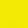 PS FILM FLUO